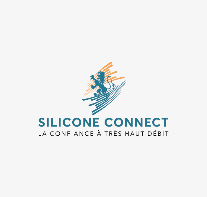 SILICONE CONNECT